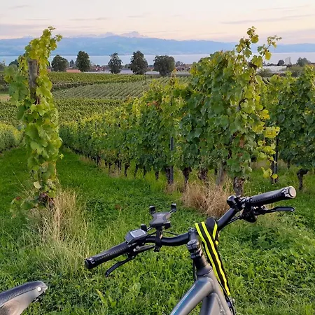 Mit Klavier Wasserburg am Bodensee
